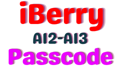 iBerry - iPhone 11 Passcode Bypass Full Signal iOS17-27